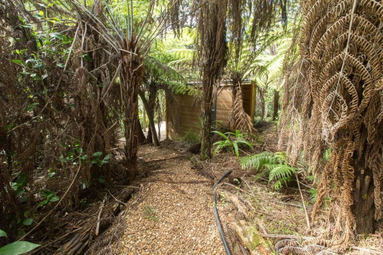 Karaka Sanctuary With Spa Pool By Waiheke Unlimited Oneroa Szoba fotó